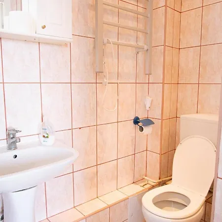 Piata Victoriei- 1 Temesvár